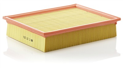 MANN-FILTER C 33 256 EAN: 4011558155704.