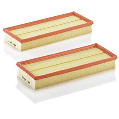 MANN-FILTER C 3698/3-2 EAN: 4011558016197.