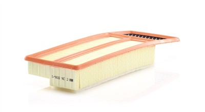 MANN-FILTER C 36 006/1 EAN: 4011558029838.