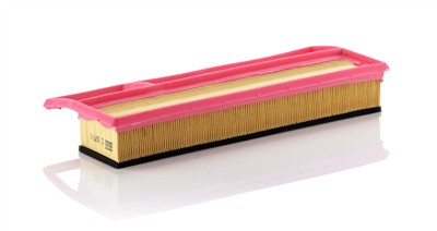 MANN-FILTER C 3877/1 EAN: 4011558380007.
