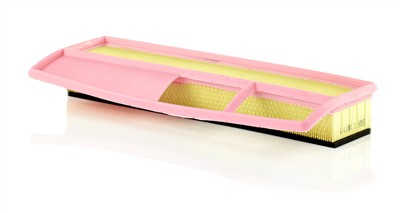 MANN-FILTER C 3877/1 EAN: 4011558380007.