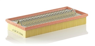 MANN-FILTER C 38 163/1 EAN: 4011558139605.