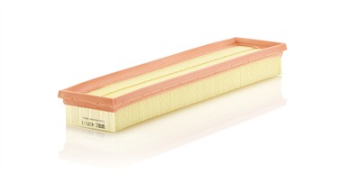 MANN-FILTER C 4371/1 EAN: 4011558031459.