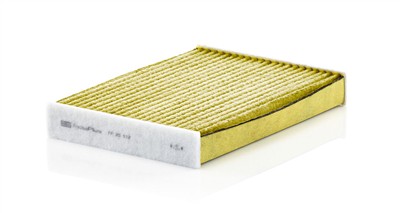 MANN-FILTER FP 25 012 EAN: 4011558063085.