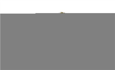 MANN-FILTER FP 26 005 EAN: 4011558075309.