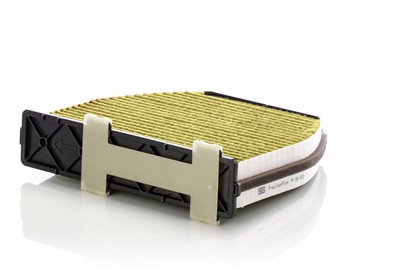 MANN-FILTER FP 29 005/1 EAN: 4011558067014.