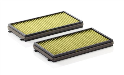MANN-FILTER FP 3124-2 EAN: 4011558065096.