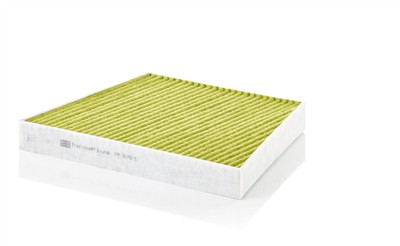 MANN-FILTER FP 3172/1 EAN: 4011558066956.