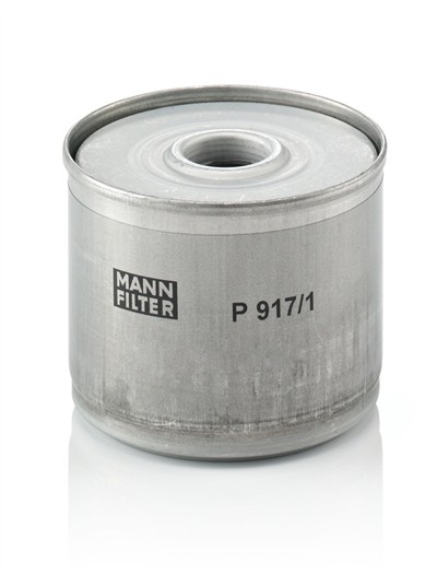 MANN-FILTER P 917/1 X EAN: 4011558551704.