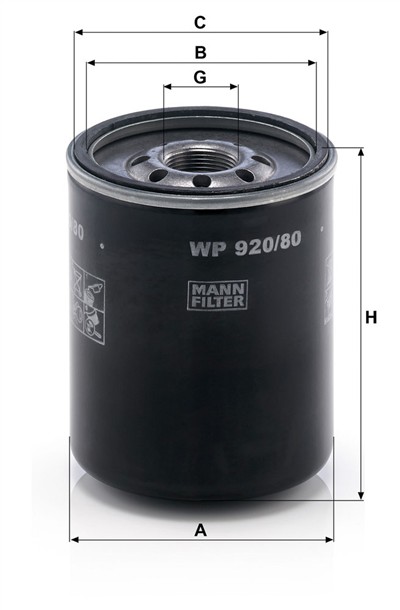 MANN-FILTER WP 920/80 EAN: 4011558959203.