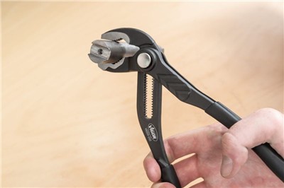 VIGOR V6504-125