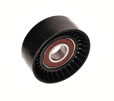 MAXGEAR 54-0421 Číslo výrobce: 55256MG/ROLKA. EAN: 5907558521917.