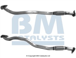 BM CATALYSTS BM50096