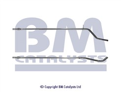 BM CATALYSTS BM50125