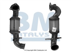 BM CATALYSTS BM91925H