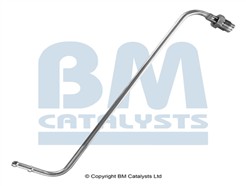 BM CATALYSTS PP11026B