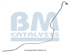 BM CATALYSTS PP11094B