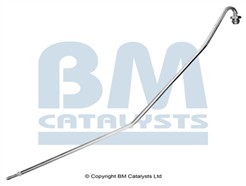 BM CATALYSTS PP11368B