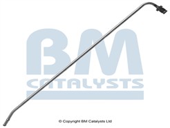 BM CATALYSTS PP31021B