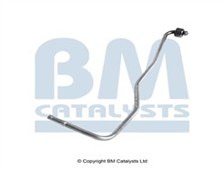BM CATALYSTS PP31282A