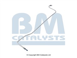 BM CATALYSTS PP31282B