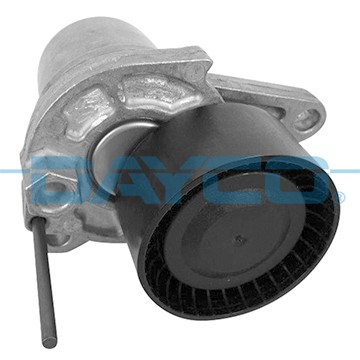 DAYCO APV3205 EAN: 8021787113051.