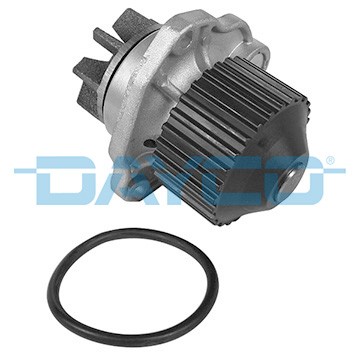 DAYCO DP193 EAN: 8021787060478.