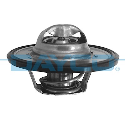 DAYCO DT1019V EAN: 8021787209303.