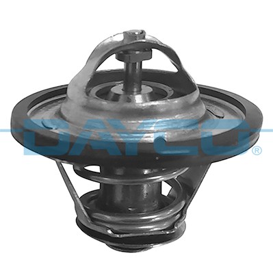 DAYCO DT1021V EAN: 8021787209389.