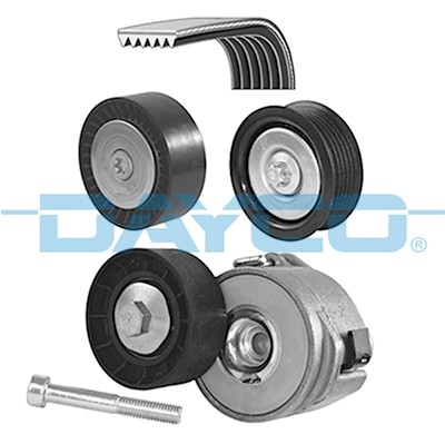 DAYCO KPV256 EAN: 8021787113624.