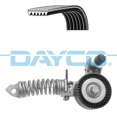 DAYCO KPV498 EAN: 8021787323764.