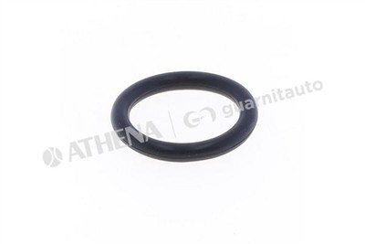 GUARNITAUTO 183688-8000