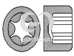 GUARNITAUTO 702507-1010