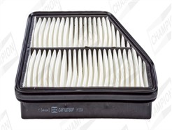 CHAMPION CAF100766P