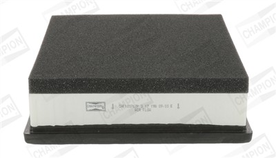 CHAMPION CAF100767P Číslo výrobce: CAF100767P. EAN: 4044197759040.