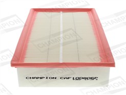 CHAMPION CAF100806P