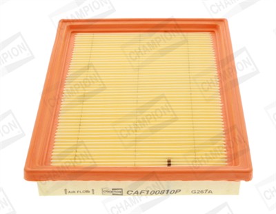 CHAMPION CAF100810P Číslo výrobce: CAF100810P. EAN: 4044197759330.