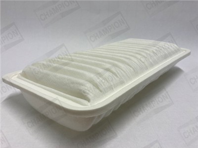 CHAMPION CAF100828P Číslo výrobce: CAF100828P. EAN: 4044197759514.