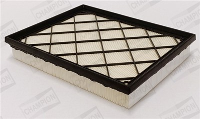 CHAMPION CAF101189P EAN: 4060426464240.