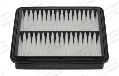 CHAMPION CAF101217P Číslo výrobce: CAF101217P. EAN: 4060426457815.
