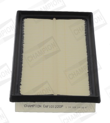 CHAMPION CAF101220P EAN: 4060426460433.