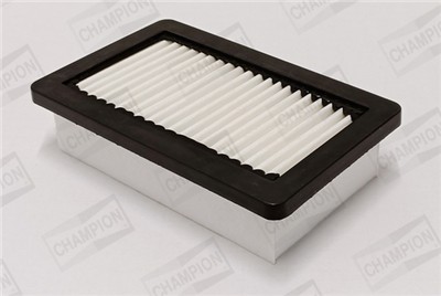 CHAMPION CAF101231P EAN: 4060426250225.