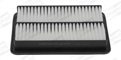 CHAMPION CAF101239P Číslo výrobce: CAF101239P. EAN: 4060426262488.