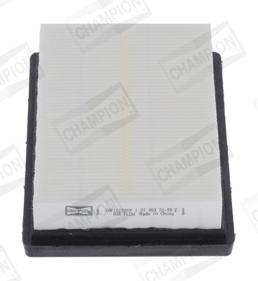 CHAMPION CAF101301P EAN: 4060426226268.