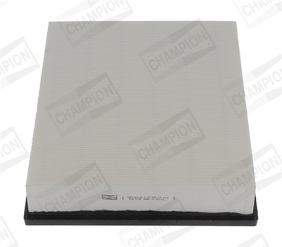 CHAMPION CAF101303P EAN: 4060426196172.