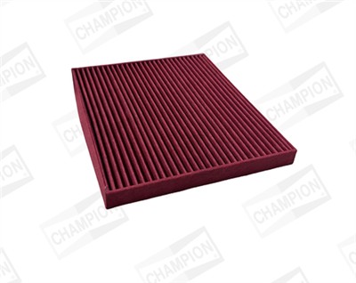 CHAMPION CCF0119B EAN: 4060426386061.