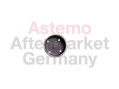 HITACHI 2503059 Číslo výrobce: 2503059. EAN: 4044079030595.