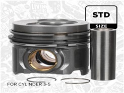 ET ENGINETEAM PM001500