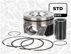 ET ENGINETEAM PM004100