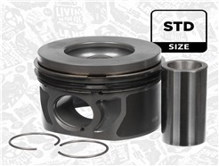 ET ENGINETEAM PM005300